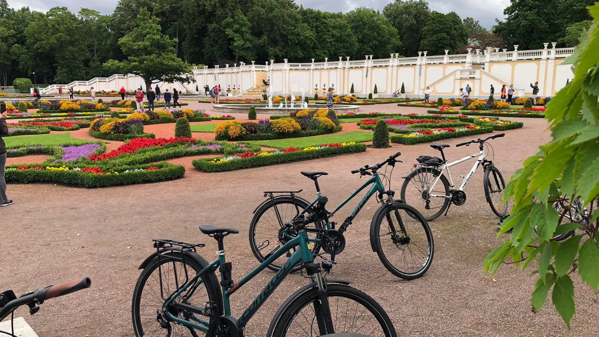 a bicycle parked in a garden in Tallinn