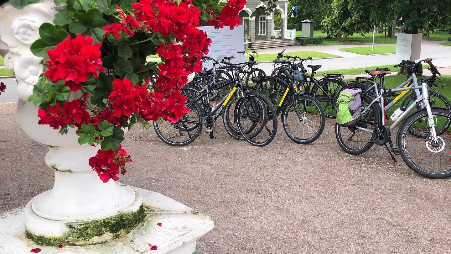 a row of parked bicycles sitting in front of a flower garden in Tallinn