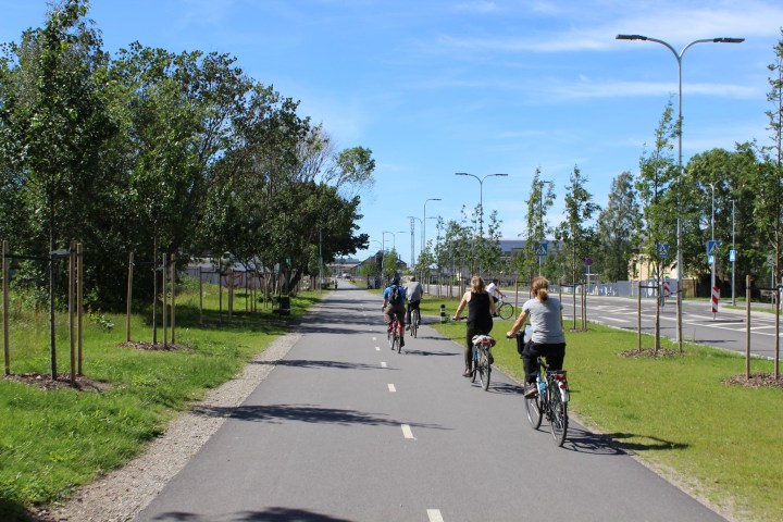 a group of people riding bikes down a street in Talllin, Estonia