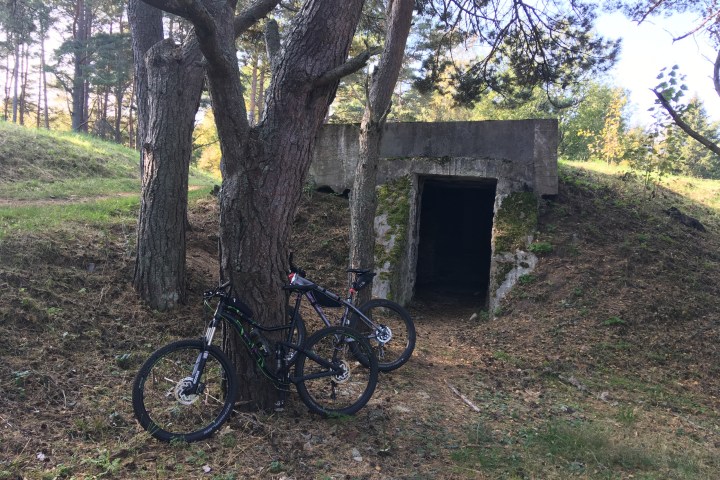 a bicycle is parked next to a tree in Tallinn