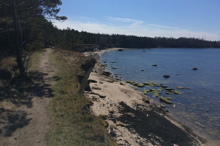 a body of water in Tallinn