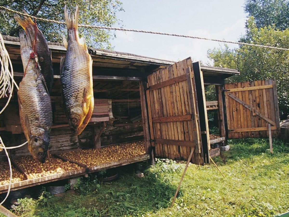 a bird sitting on top of a cage