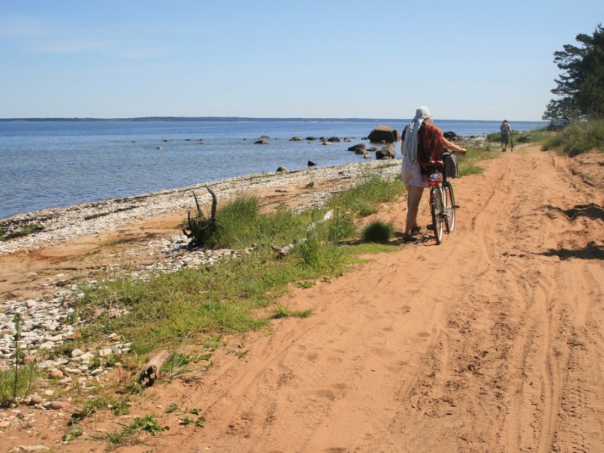 a man riding a bike down a dirt road near a body of water