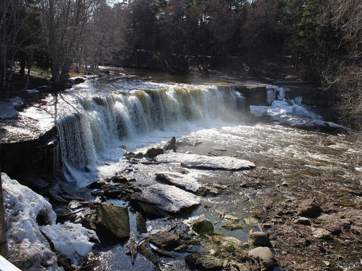 a waterfall with trees on the side of a river