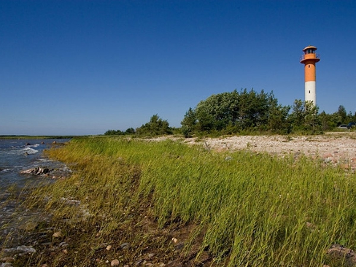 a close up of a hillside next to a body of water