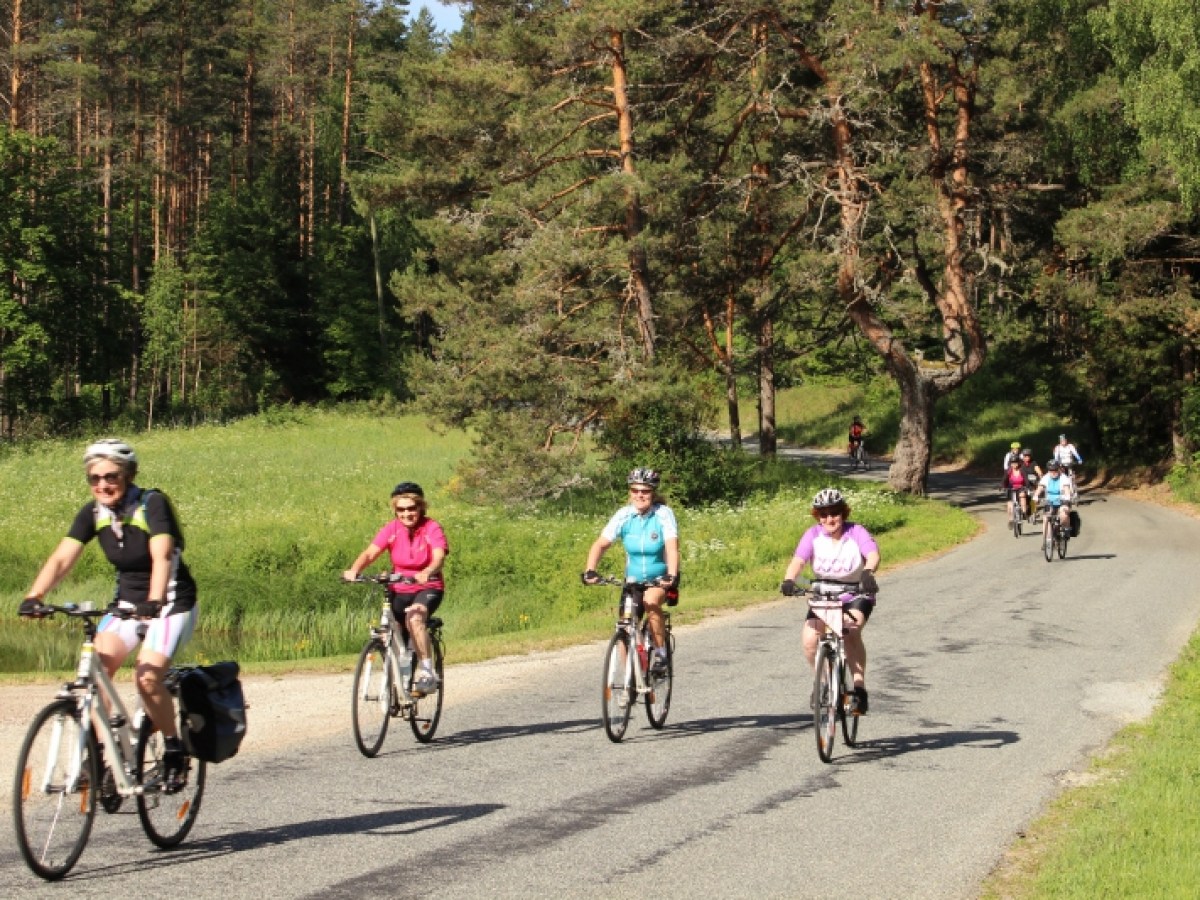 a group of people riding on the back of a bicycle