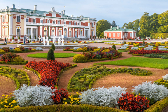 a close up of a flower garden