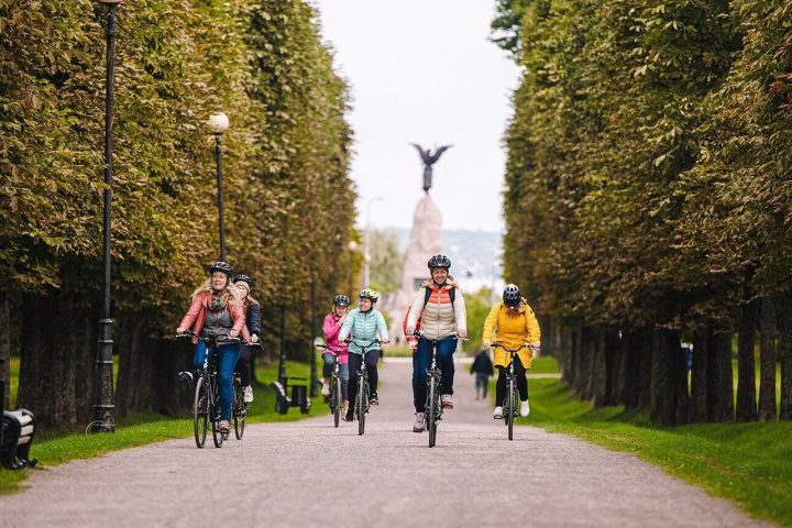 a group of people riding skis on a snowy road