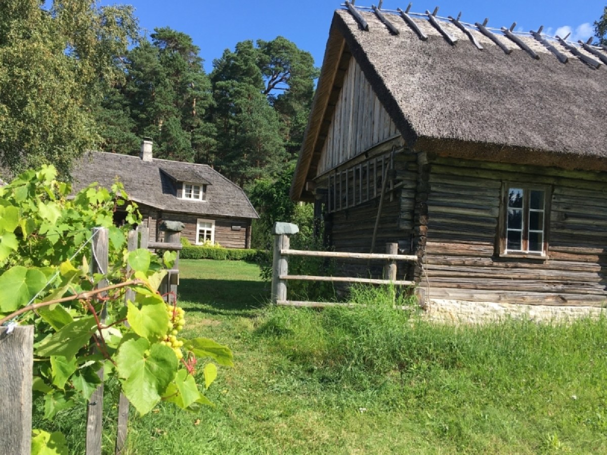 a house with trees in the background
