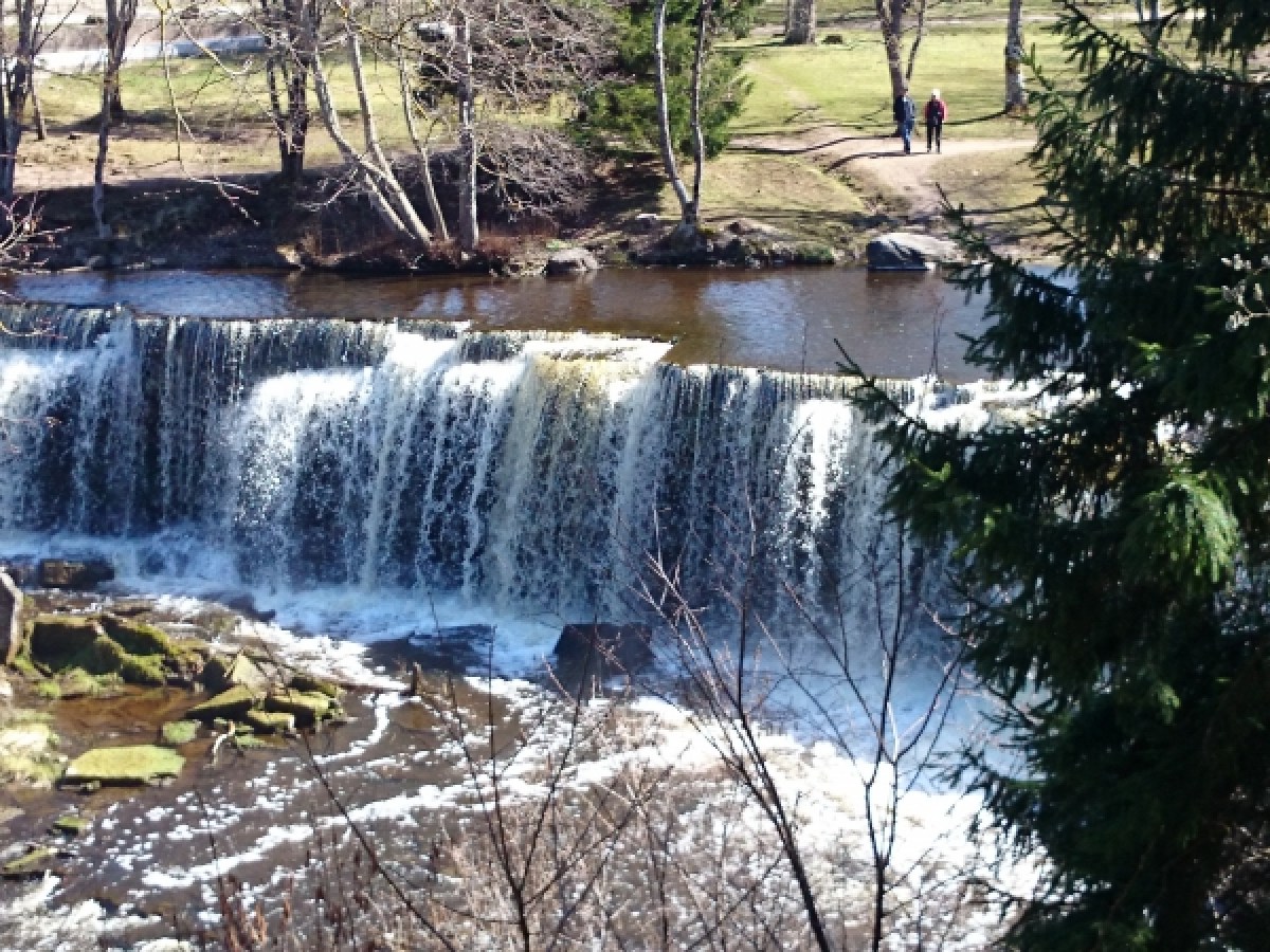 a waterfall in a forest