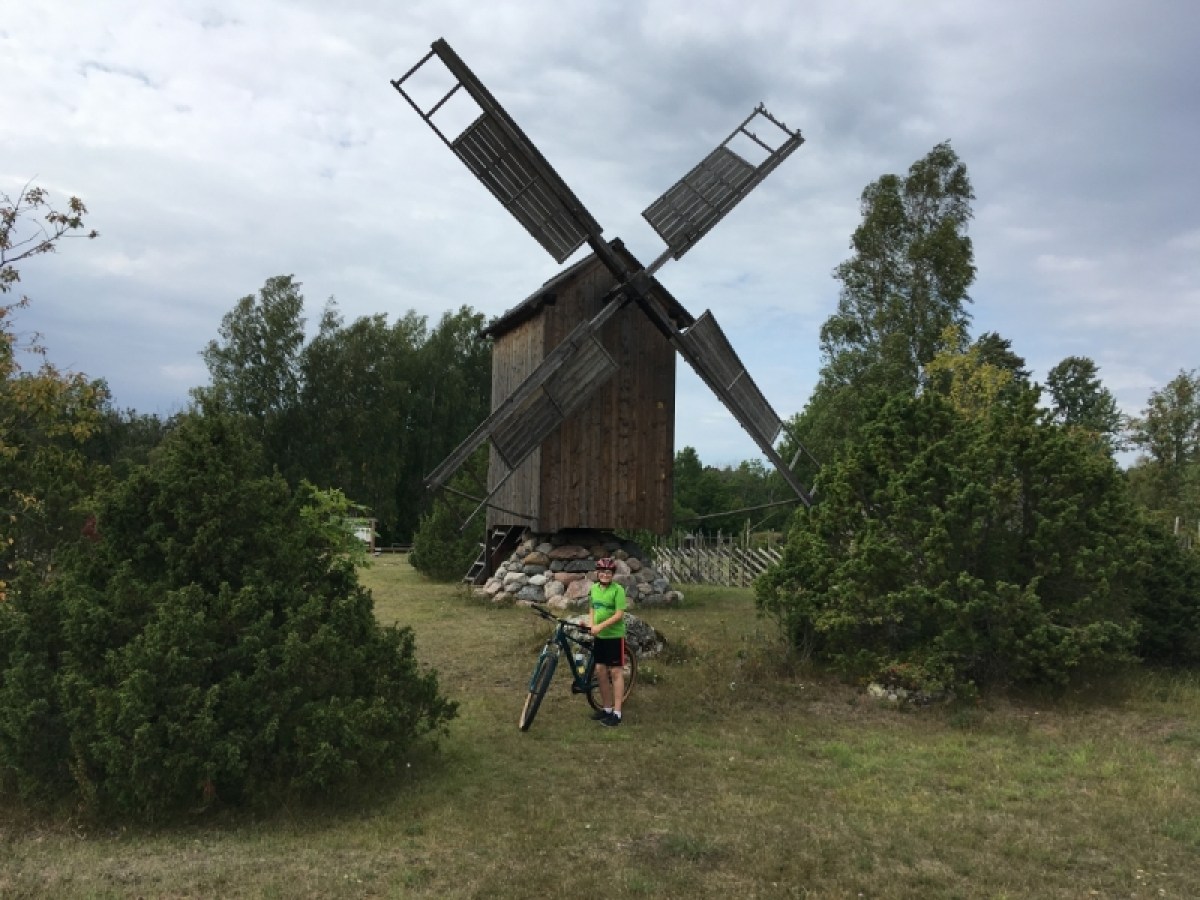 a person flying a kite in a park