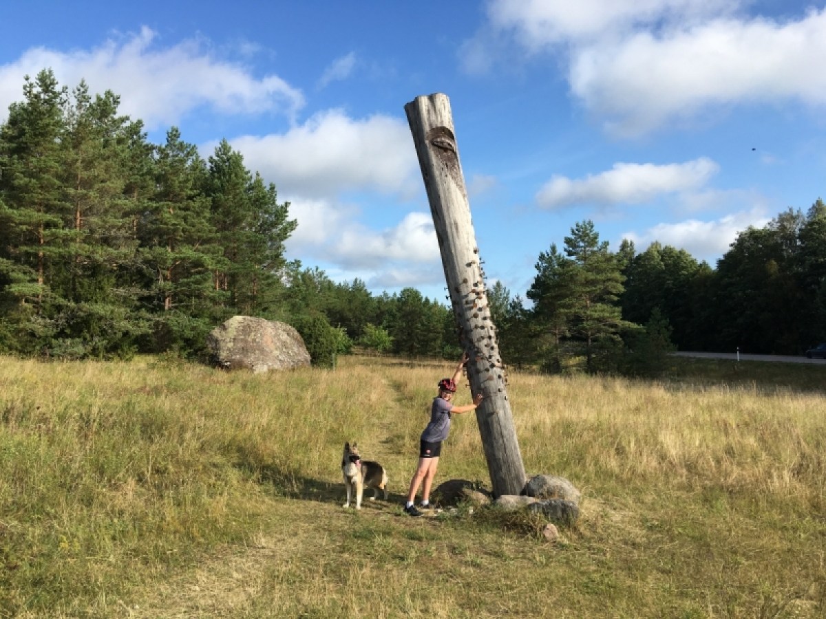 a person standing on top of a grass covered field