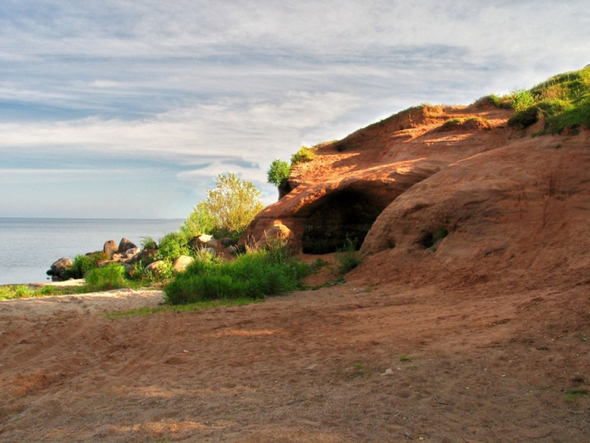 a close up of a hillside next to a body of water