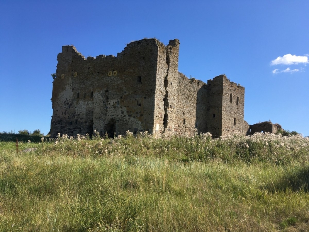 a castle on top of a grass covered field
