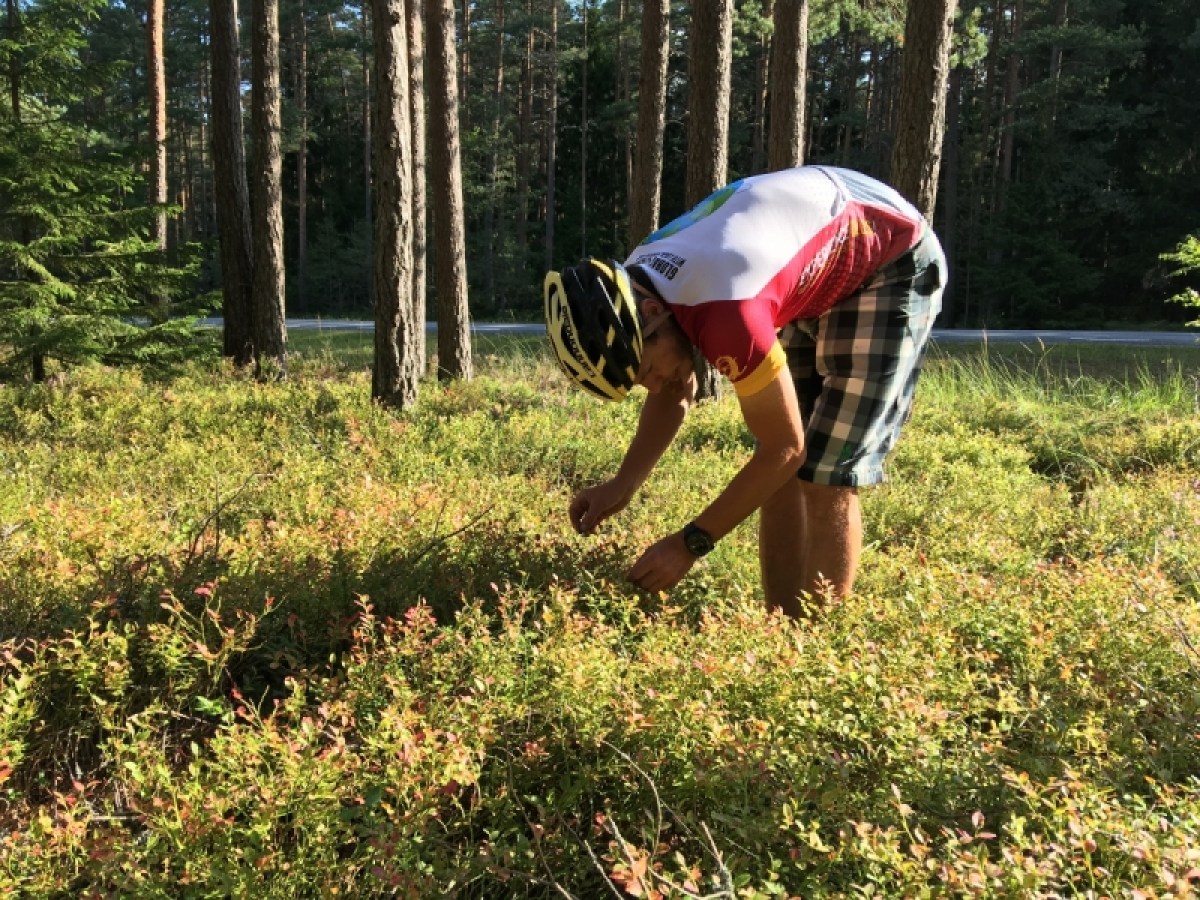 a person holding a frisbee in the grass