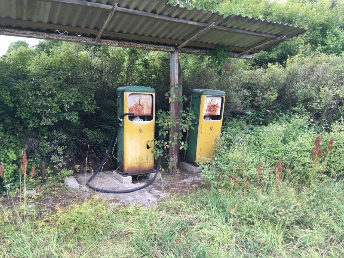 a train that is sitting in the grass