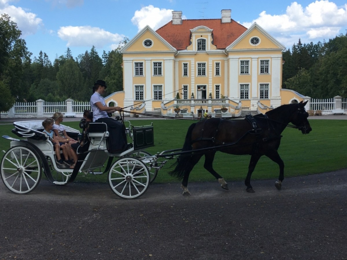 a man riding a horse drawn carriage in front of a building