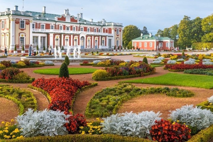 a close up of a flower garden