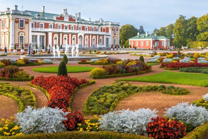 a close up of a flower garden