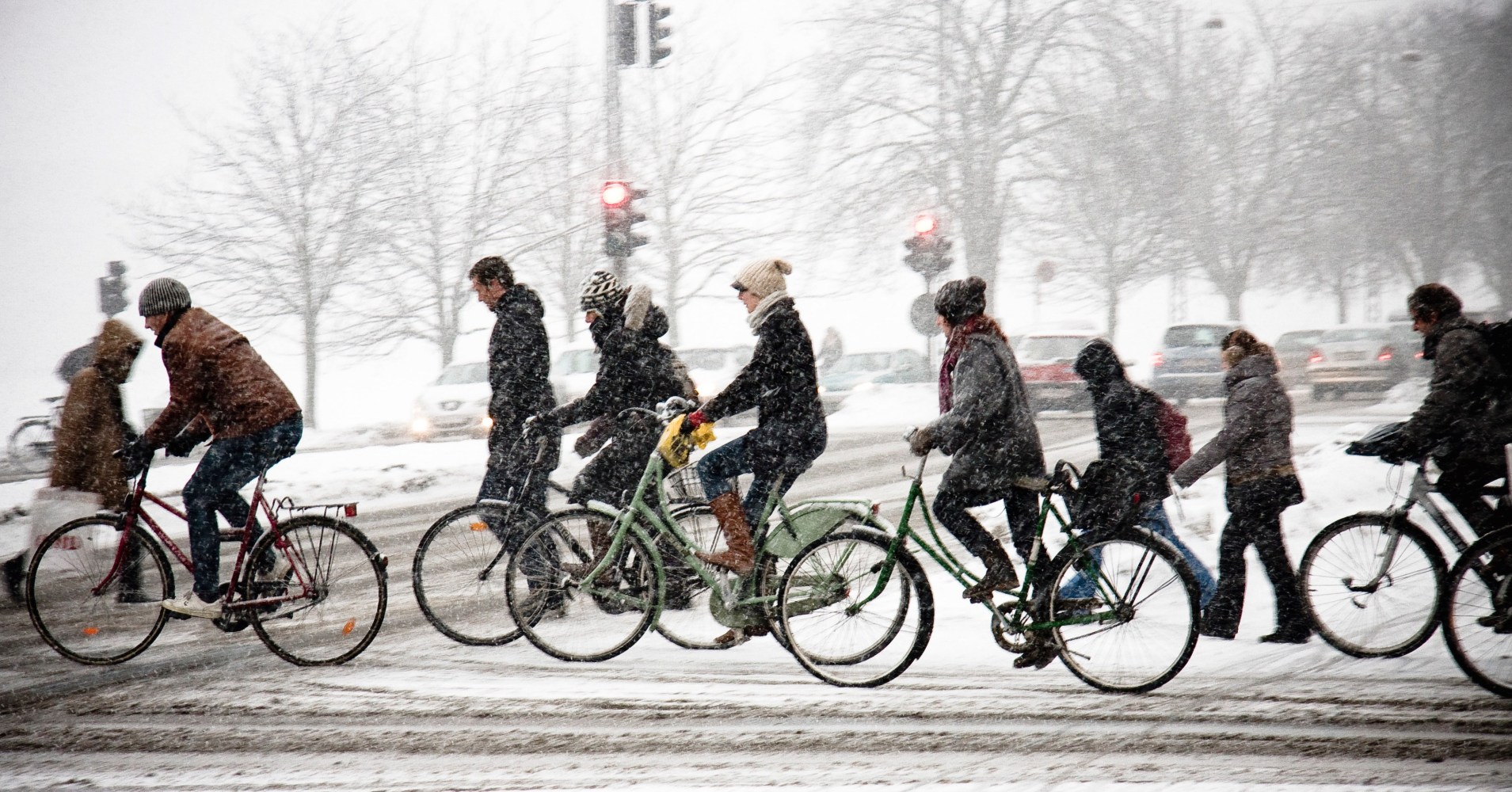 a group of people riding on the back of a bicycle