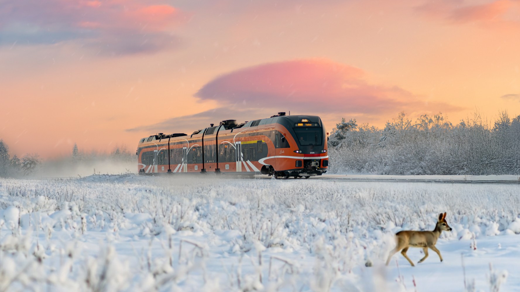 a train covered in snow